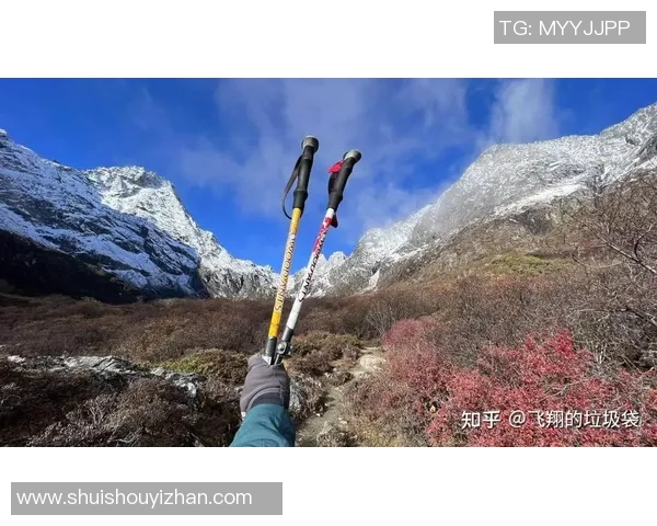 提升登山体验的必备装备bd登山杖的选择与使用技巧分享
