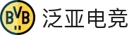 泛亚电竞-立足亚洲,连接全球的顶尖电竞赛事平台